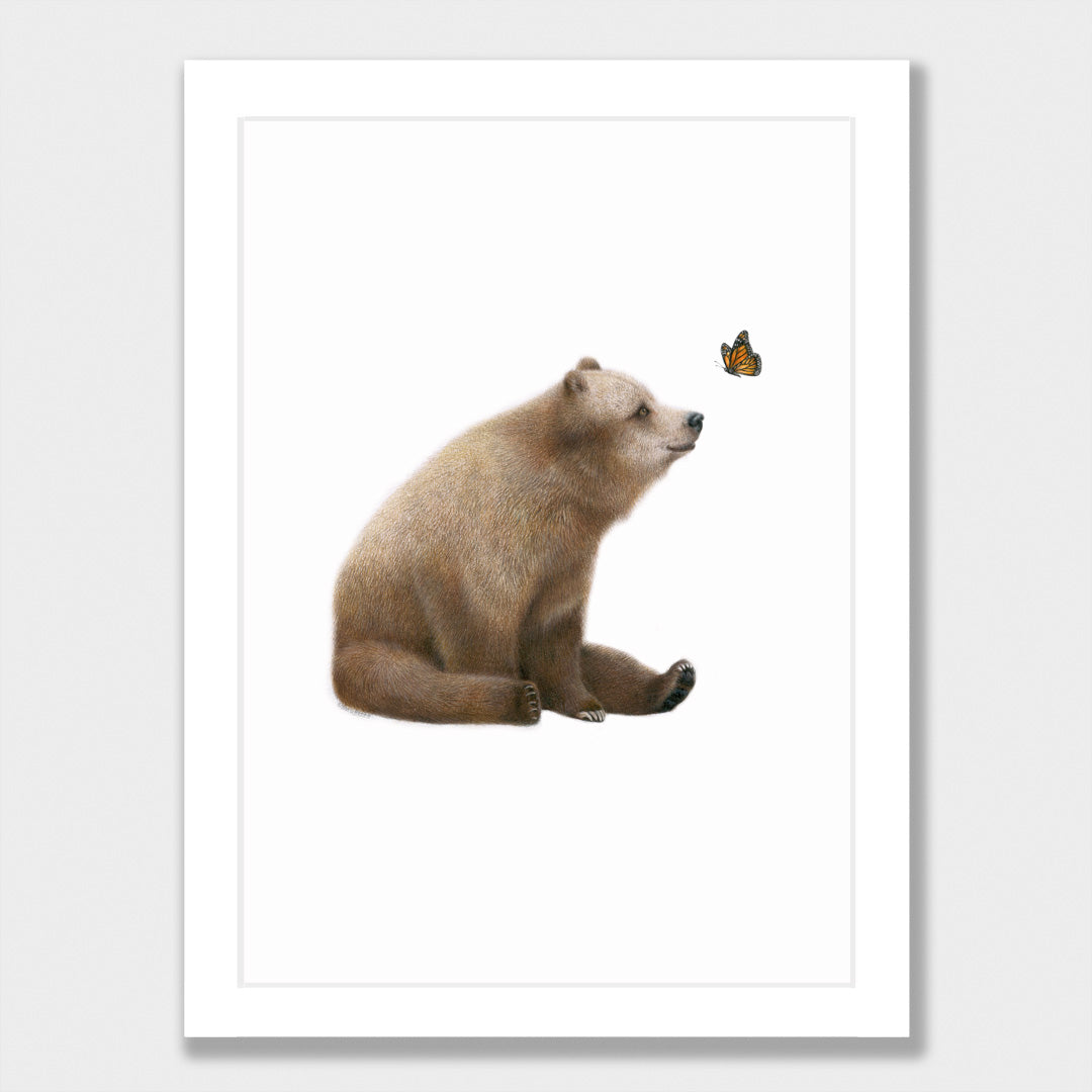 Bear and Butterfly Print