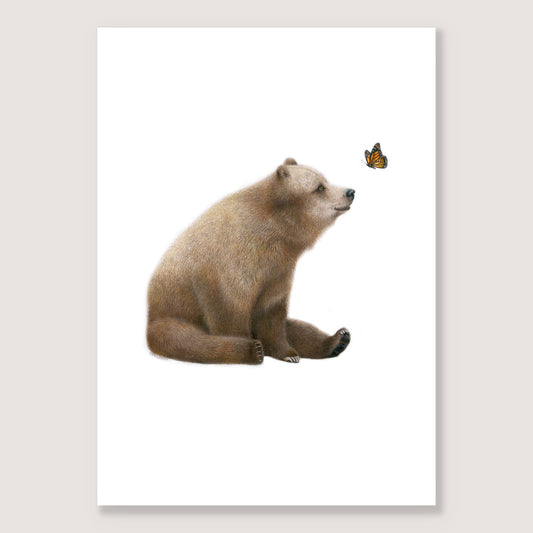 SALE - Bear and Butterfly A5