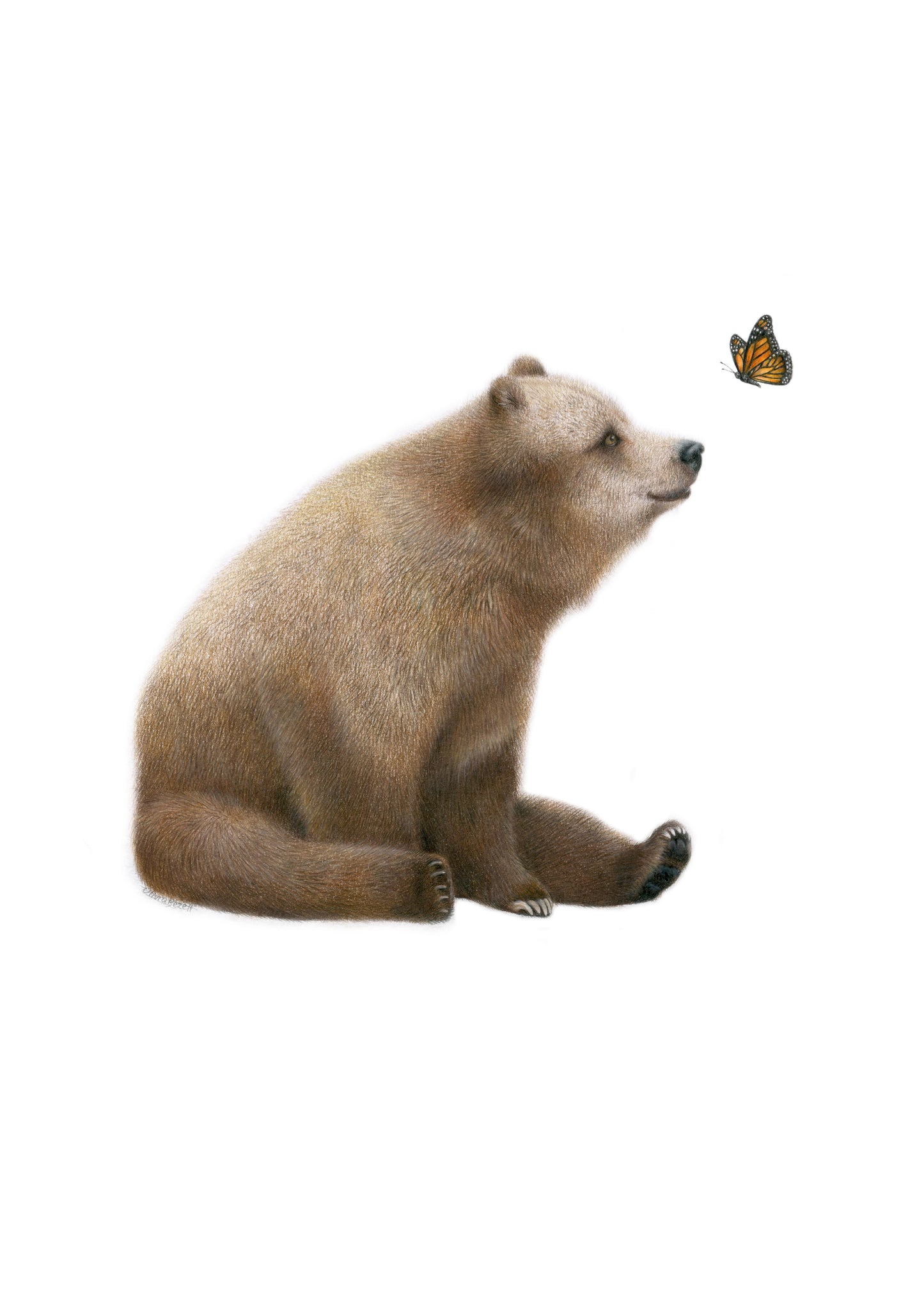 PREORDER - Bear and Butterfly Greeting Card