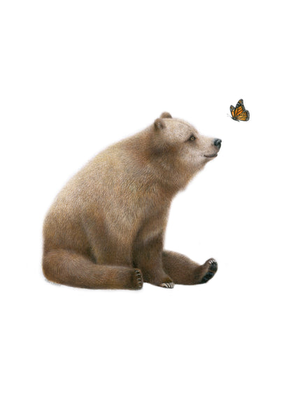 Bear and Butterfly Greeting Card
