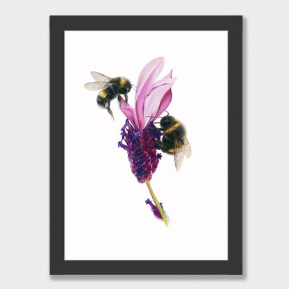 Bees on Lavender Print