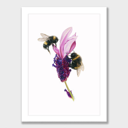 Bees on Lavender Print