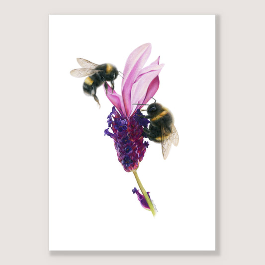 SALE - Bees on Lavender print A5