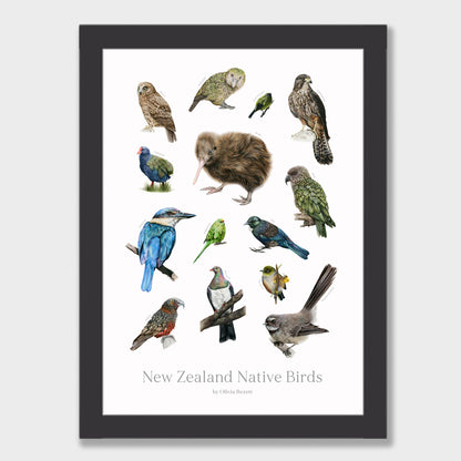 New Zealand Native Birds Print