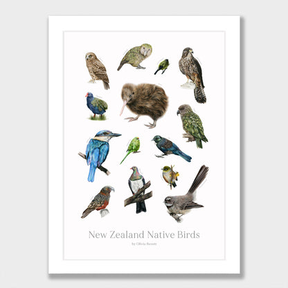New Zealand Native Birds Print