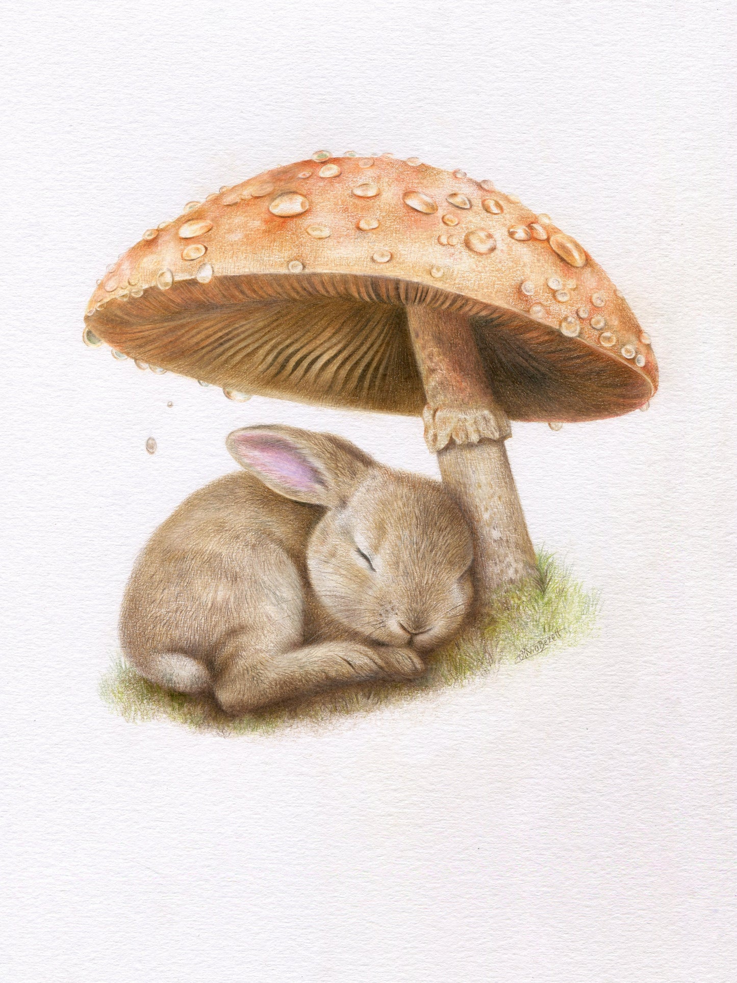 Original 'Rainy Woodland Hideaway'