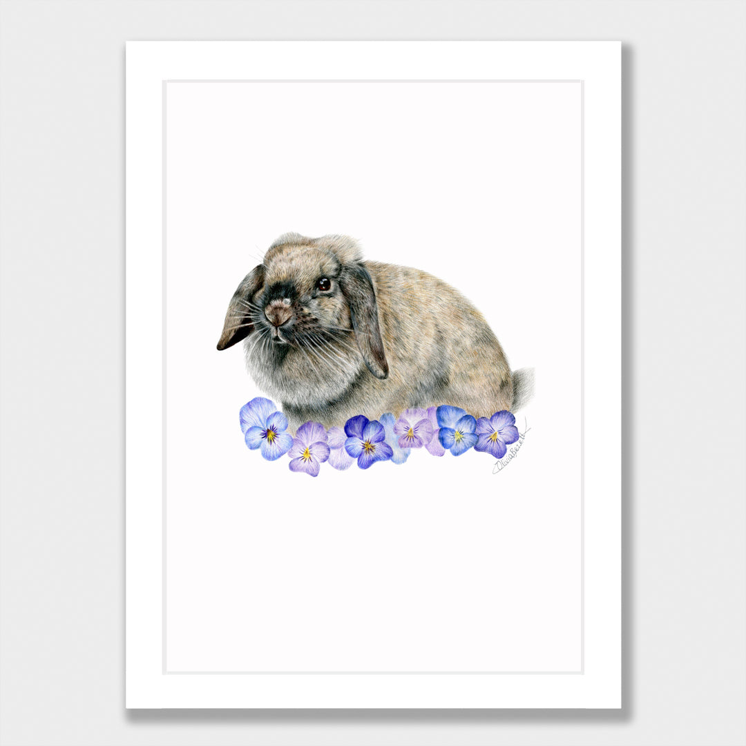 Cashew Print
