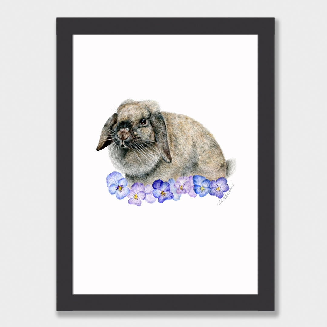Cashew Print