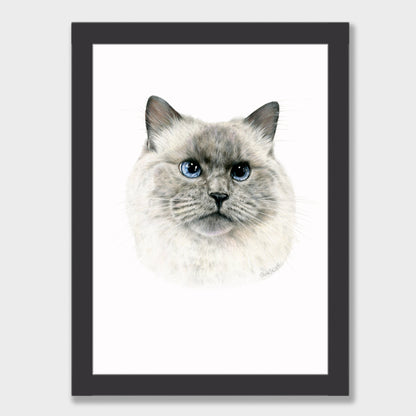 Craig Print