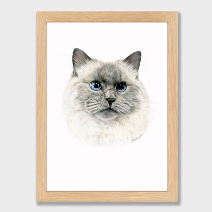 Craig Print