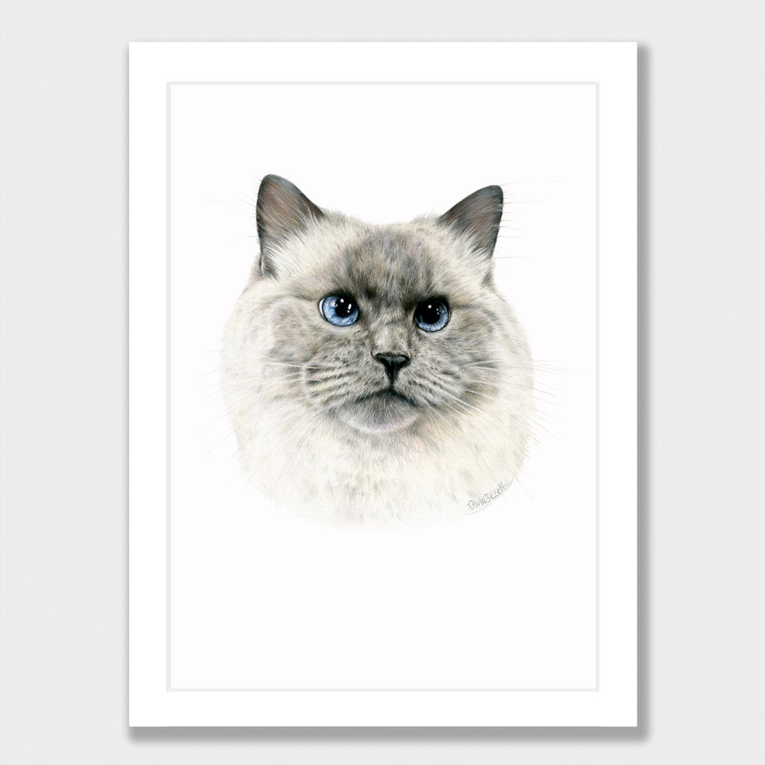 Craig Print