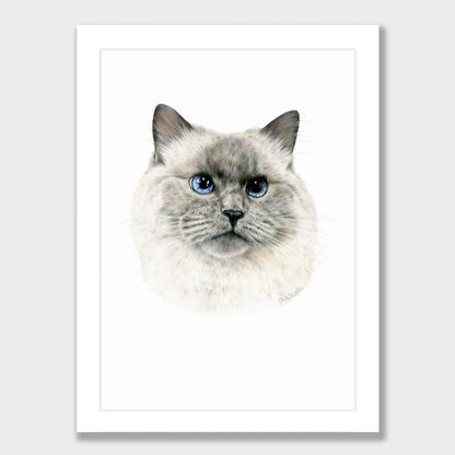 Craig Print