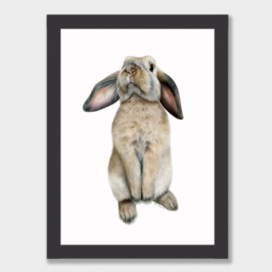 Curious Bunny Print