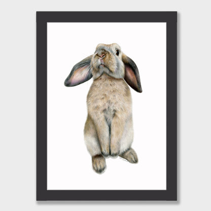 Curious Bunny Print