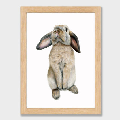 Curious Bunny Print