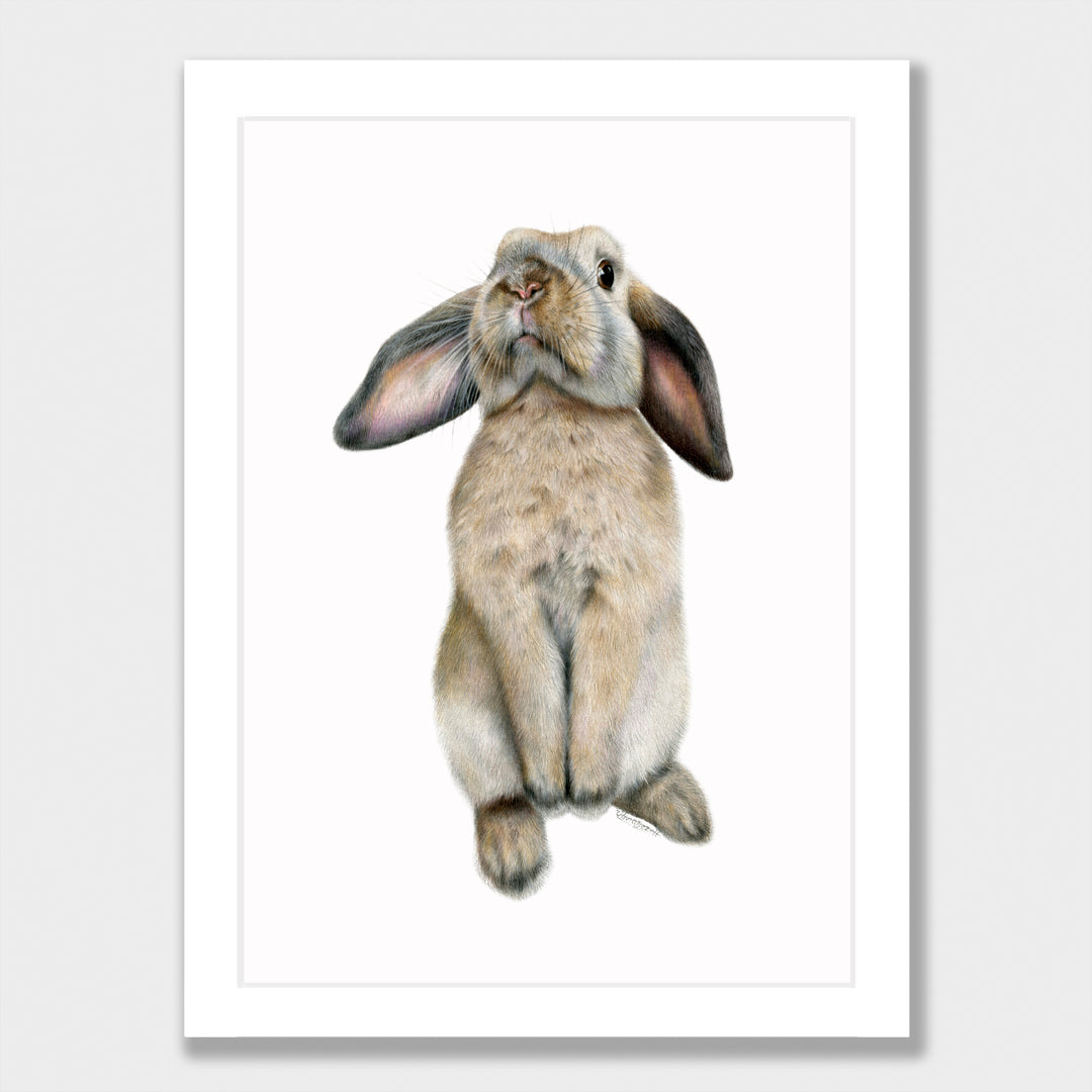 Curious Bunny Print