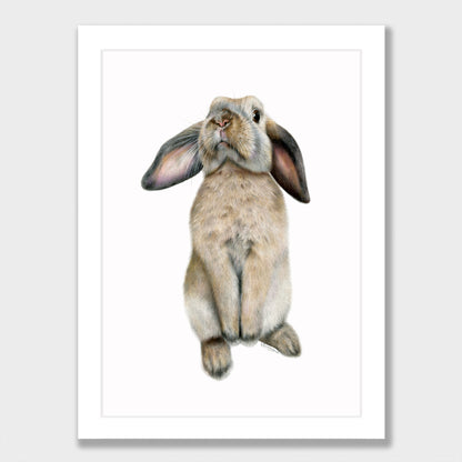 Curious Bunny Print