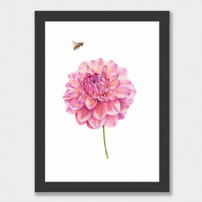 Dahlia and Bee Print