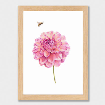 Dahlia and Bee Print