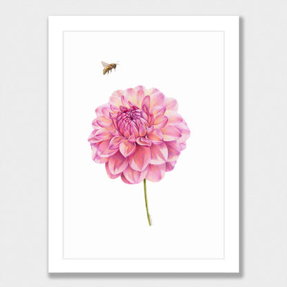 Dahlia and Bee Print