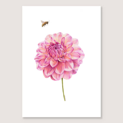 Dahlia and Bee Print