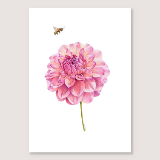 Dahlia and Bee Print