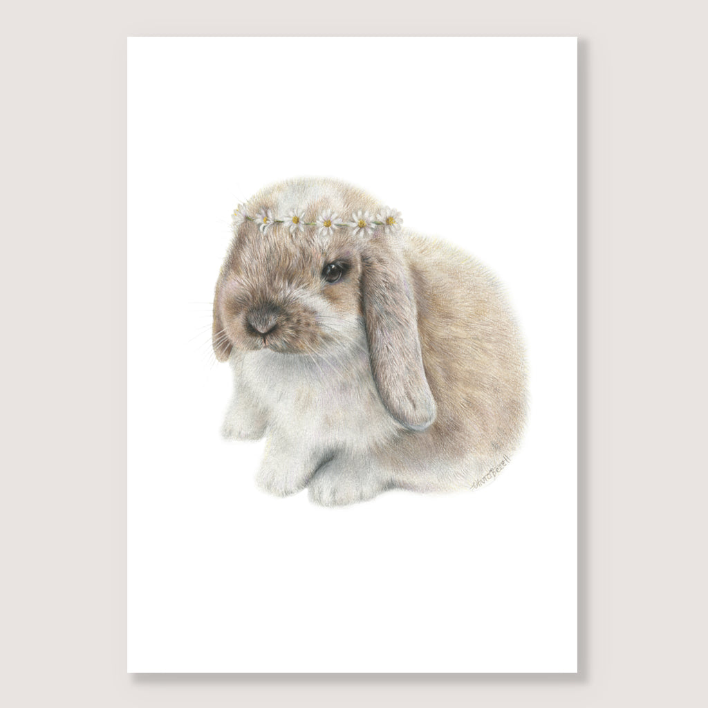 SALE - Daisy Bunny print A5