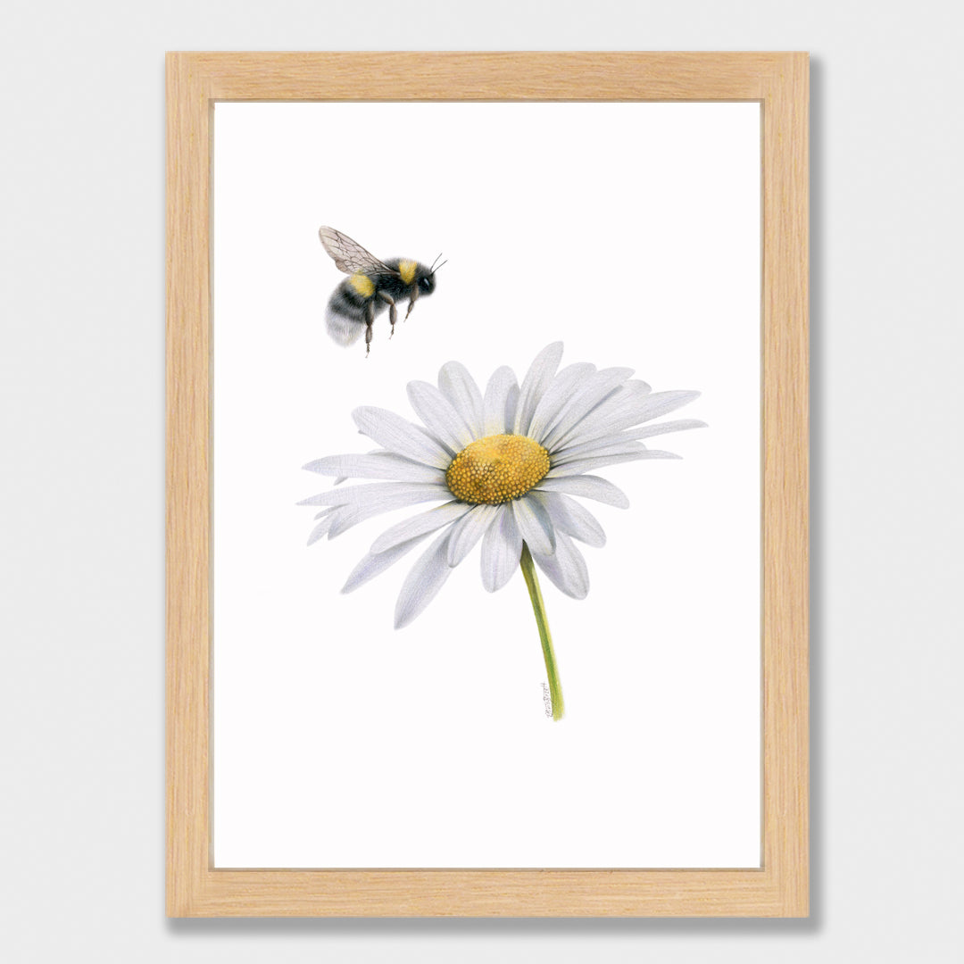 Daisy and Bee print
