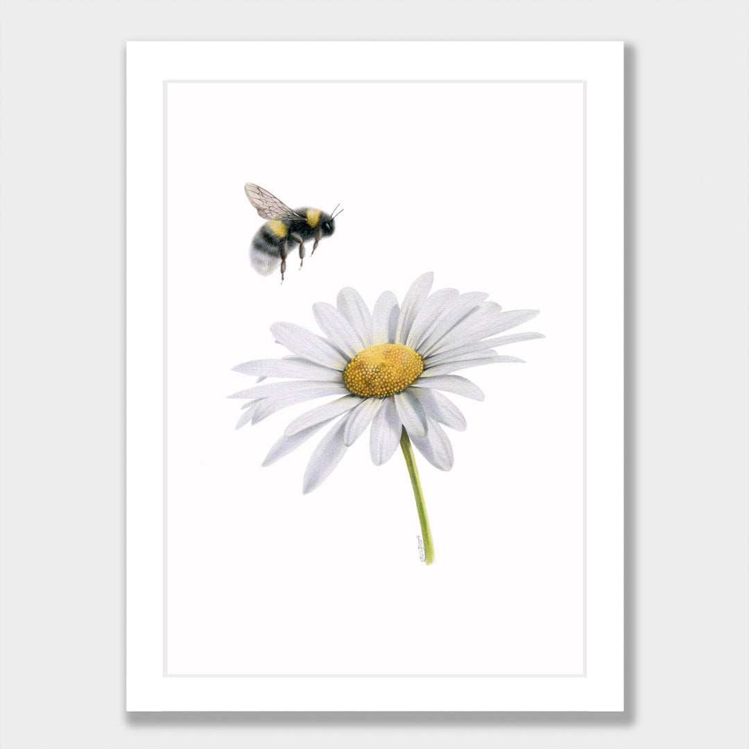 Daisy and Bee print