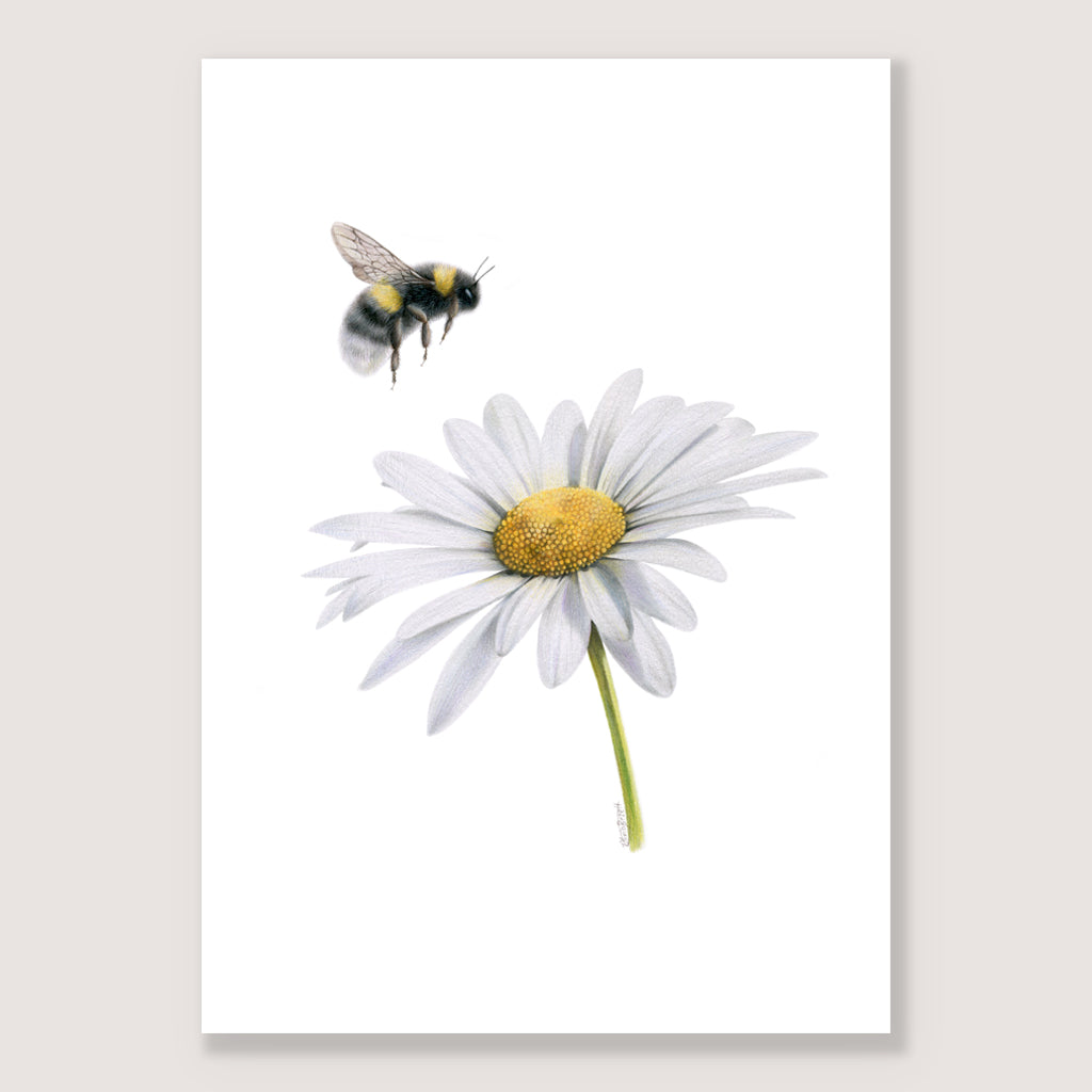 Daisy and Bee print