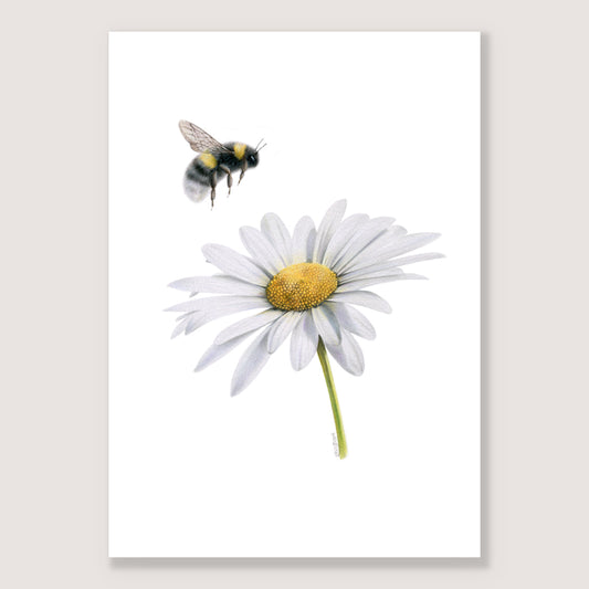 SALE - Daisy and Bee print A5