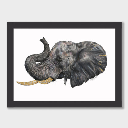 Elephant Print