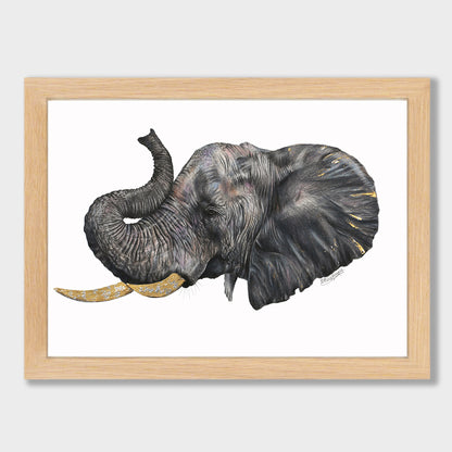 Elephant Print