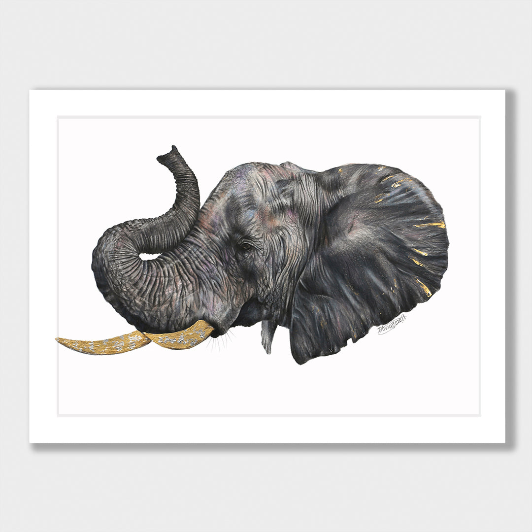 Elephant Print