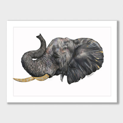 Elephant Print