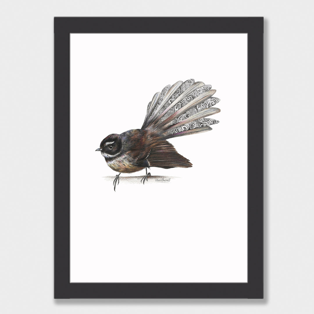Fantail Print