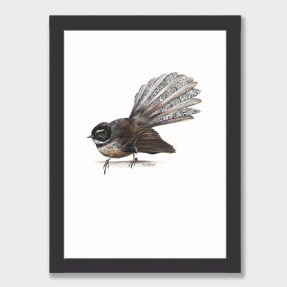 Fantail Print
