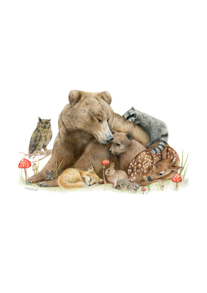 Forest Friends Greeting Card