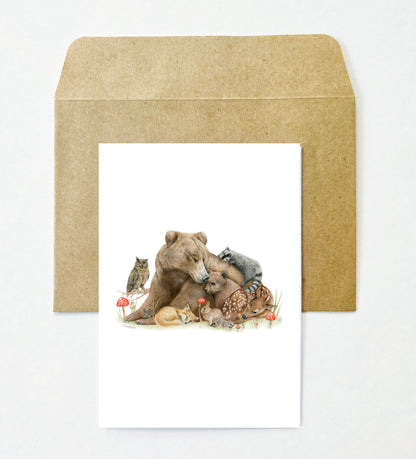 Woodland 12 Pack Greeting Card set