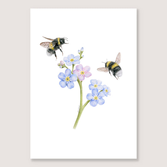 SALE - Forget me not Bees print A3