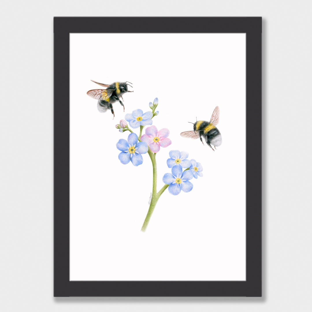 Forget Me Not Bees Print