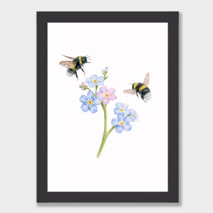 Forget Me Not Bees Print