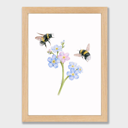 Forget Me Not Bees Print