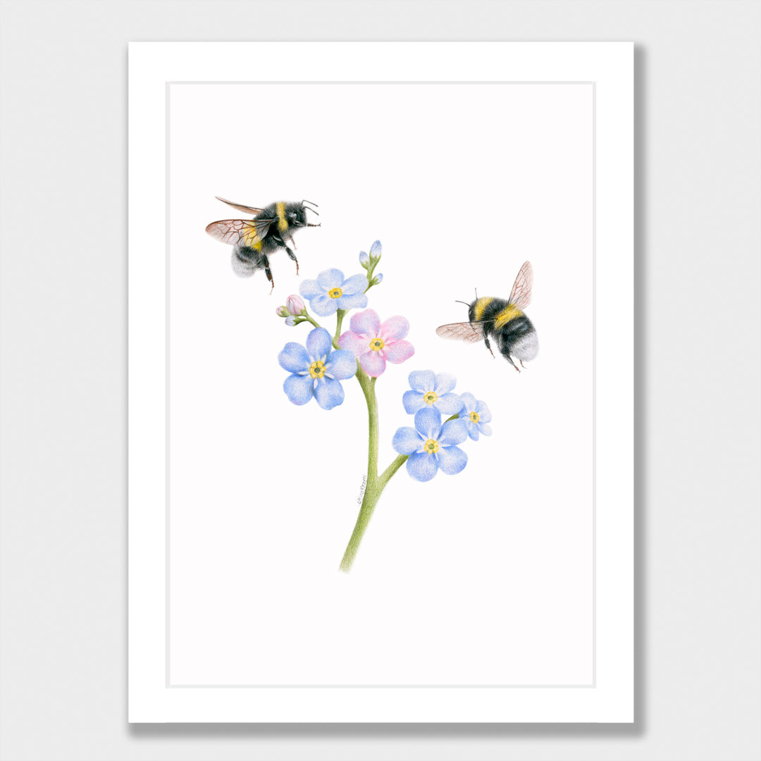 Forget Me Not Bees Print
