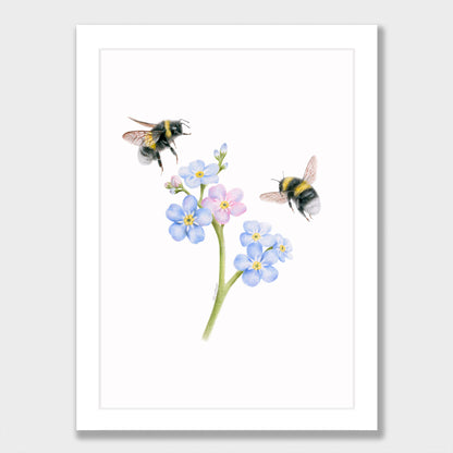 Forget Me Not Bees Print
