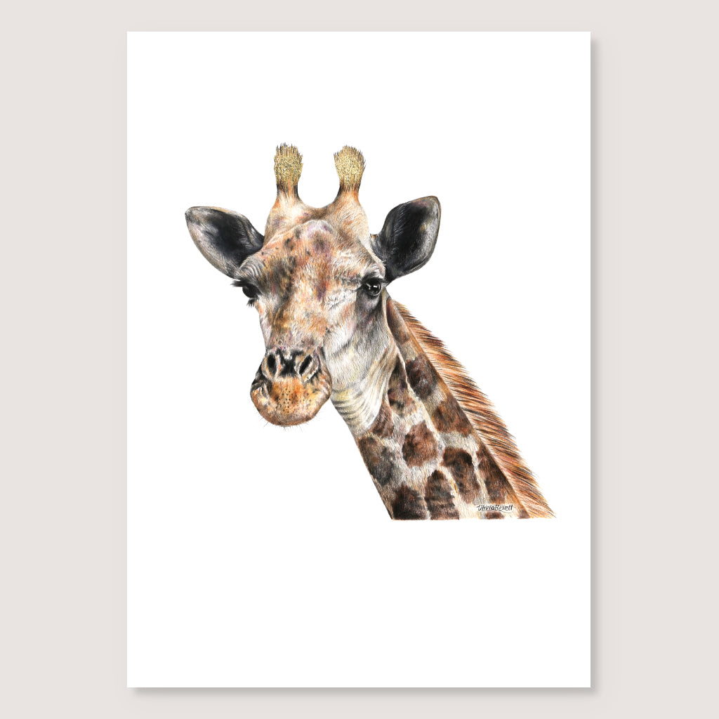 SALE - Giraffe print A5