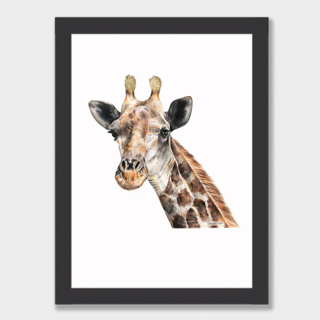 Giraffe Print