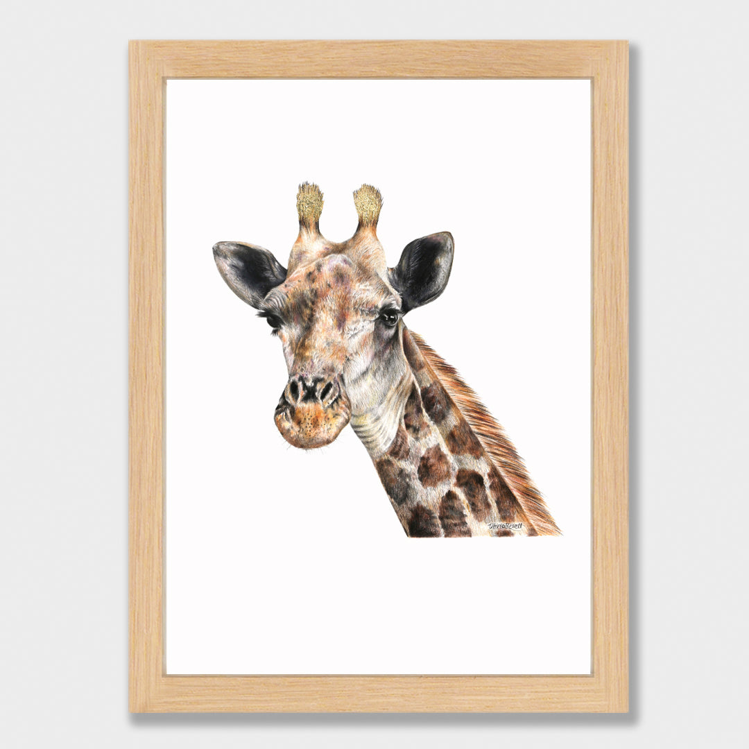 Giraffe Print
