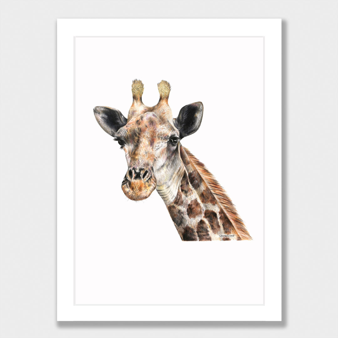Giraffe Print