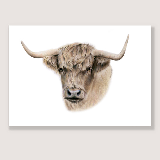 SALE - Highland Cow print A3